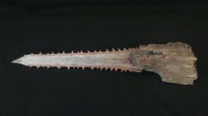 Driftwood Gar 2