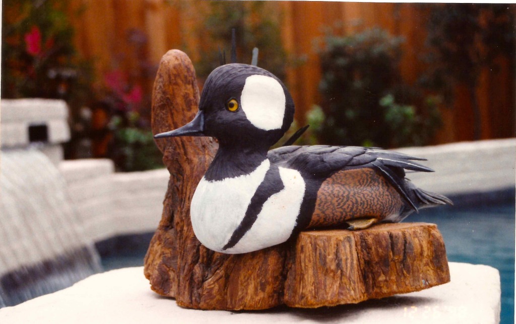 Hooded Merganser