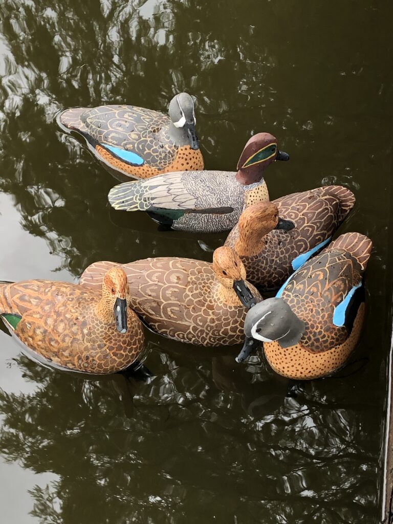 Birds